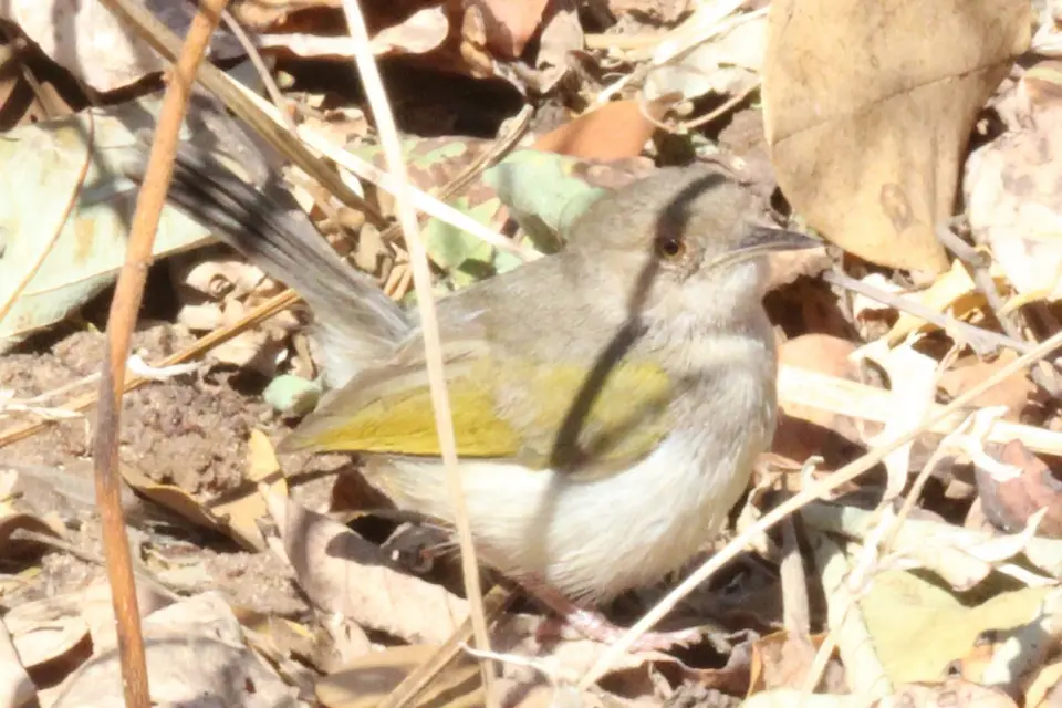h7f659ab.jpg