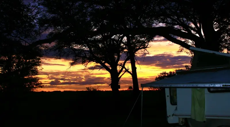 Nambotsa2011WDH-Moremi-Kalahari-Mabua-Kgalagadi157800x442.jpg