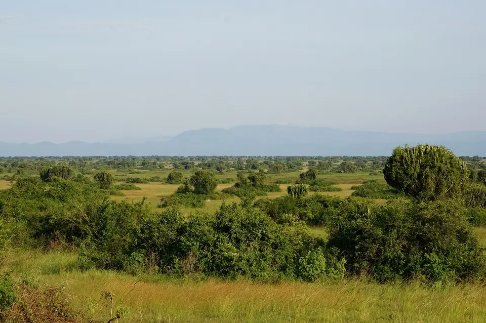 h1c0311e.jpg