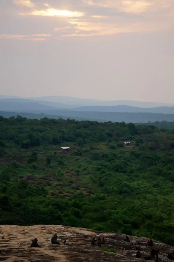 h627894b.jpg