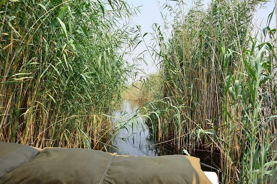 h1f81188.jpg