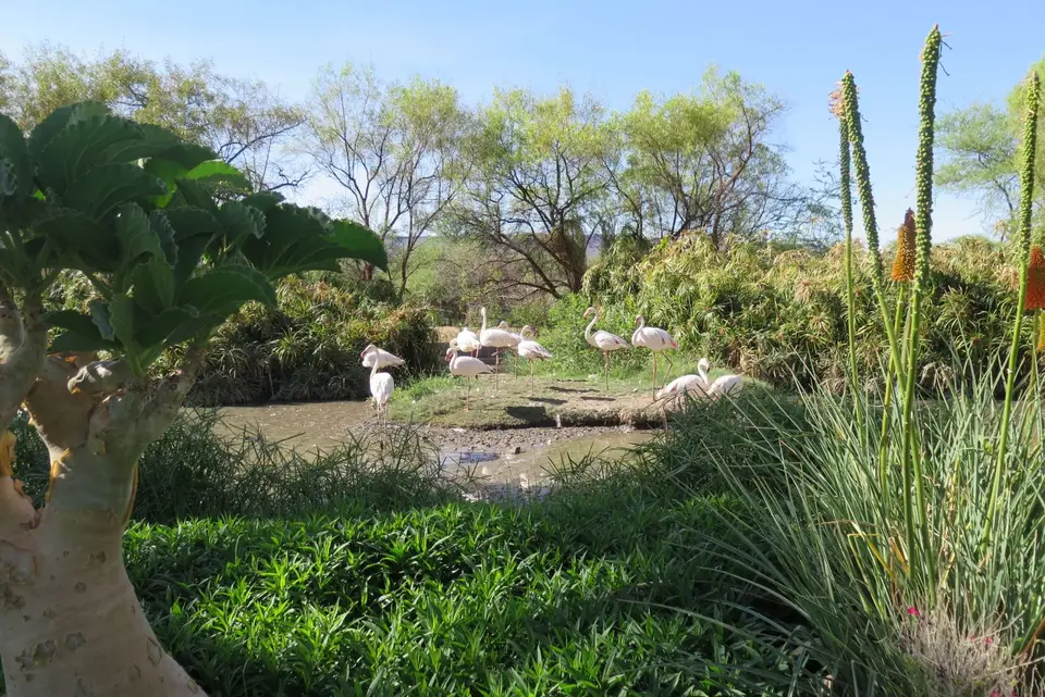 77122B7B-F2DE-4764-9BAF-2B56462A408B.jpeg
