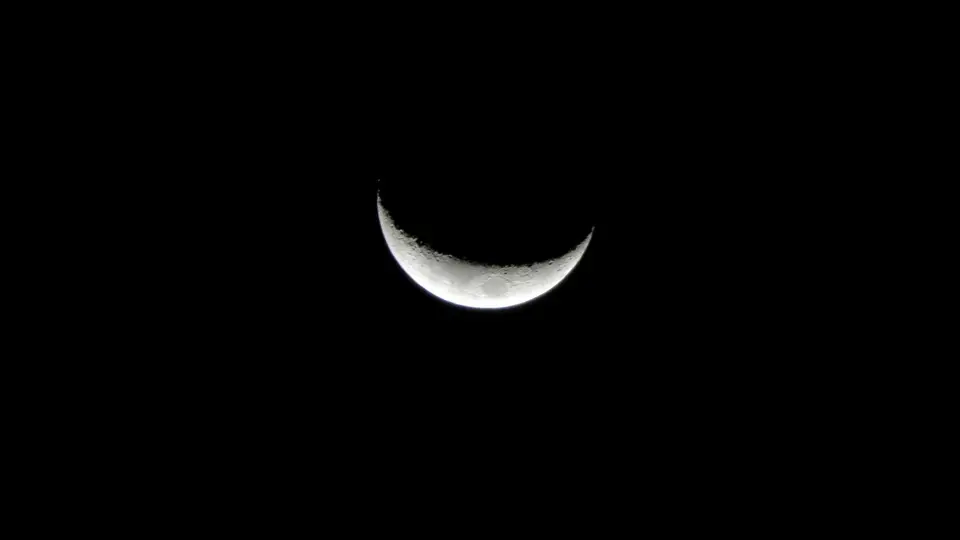 IMG_0125.JPG