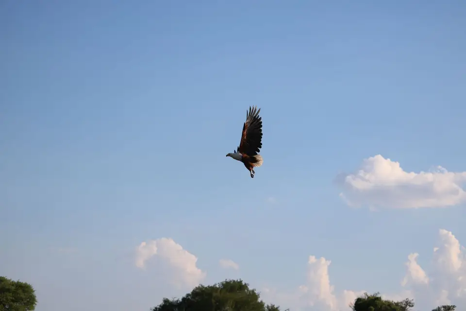 IMG_3053.JPG