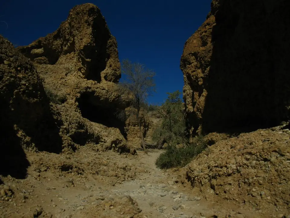 h9712080.JPG