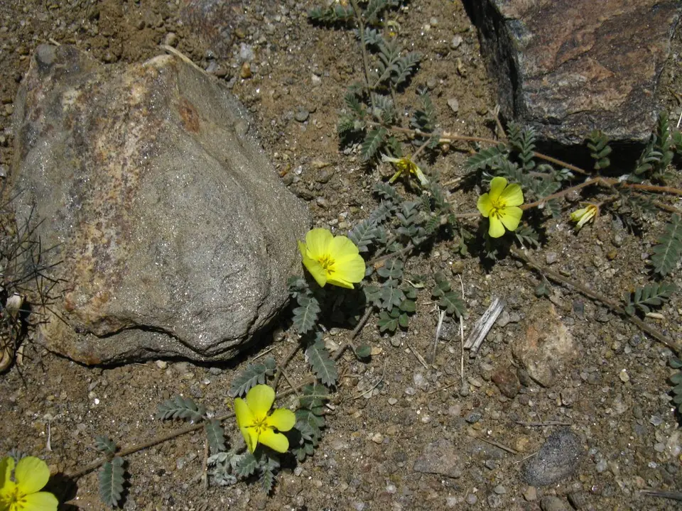 ha8fd088.JPG
