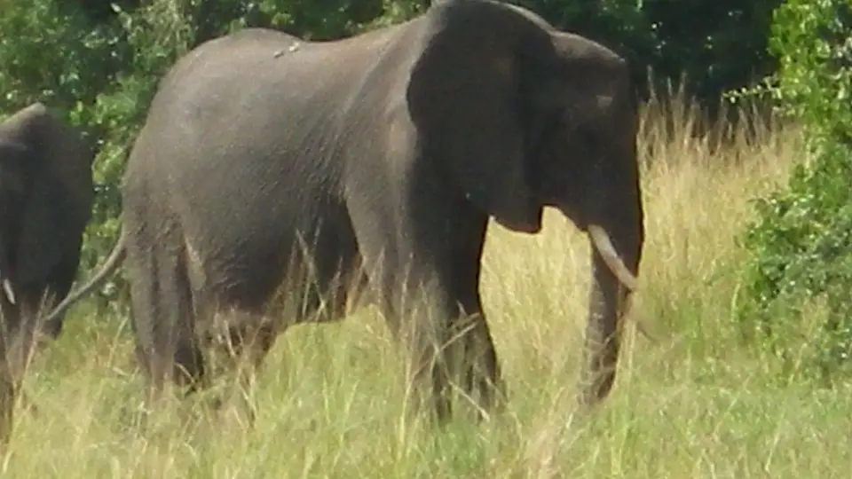 hd3eab85.JPG