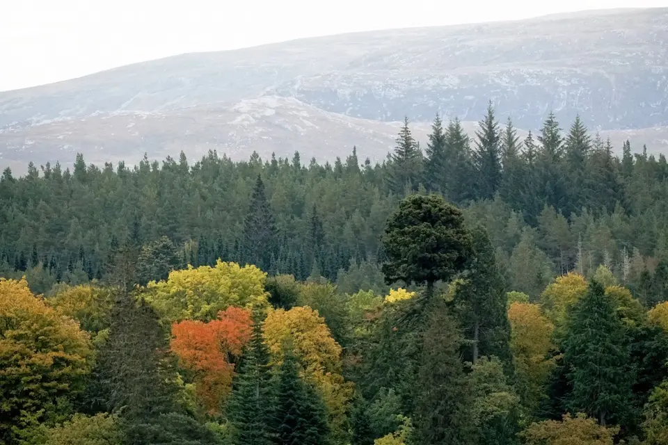 2024-10-04-11-32-38-A6507630.JPG
