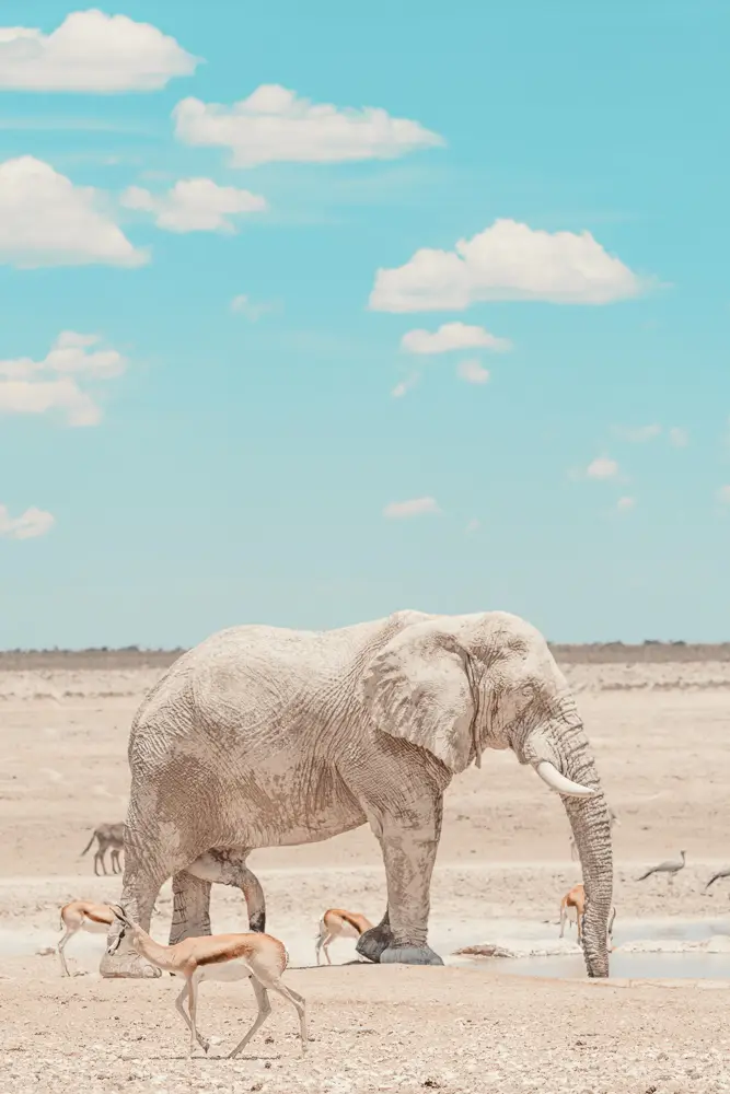 2017_11_namibia-2568.jpg
