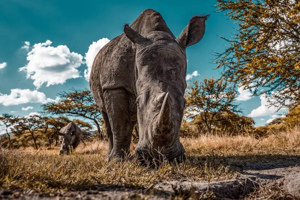 2017_12_namibia-6931_2.jpg