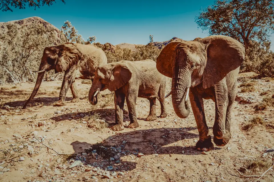 namibia_2018-4253.jpg