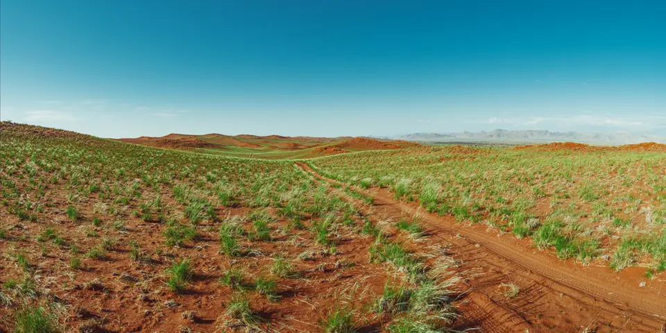 namibia_2018-7915Panorama.jpg