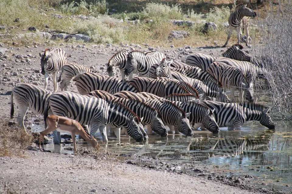 h6acca99.JPG