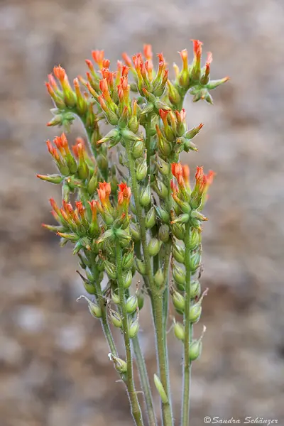 namab20110510047.jpg