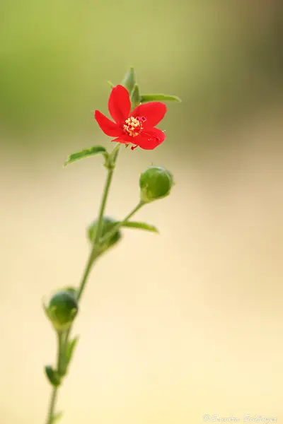 namab20110511092.jpg