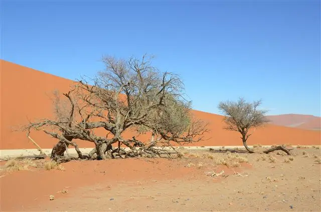 2014.03.1410.29.58Sossusvlei.JPG
