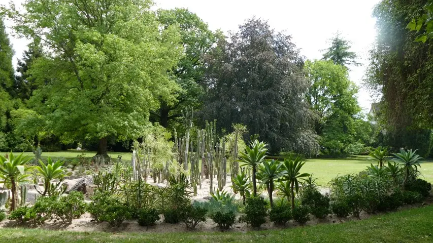 P1790356.JPG