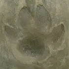 h3589d4e.jpg