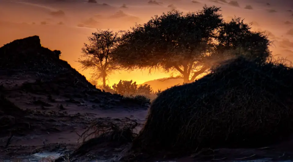 IMG_0004.jpg