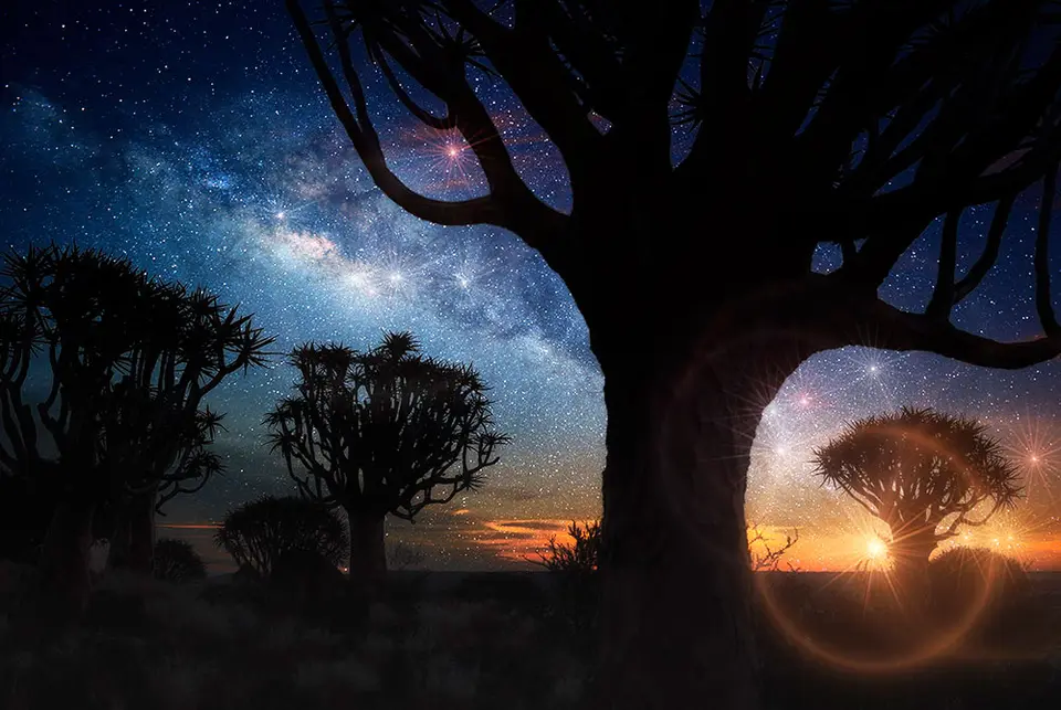 Namibia_XII.jpg