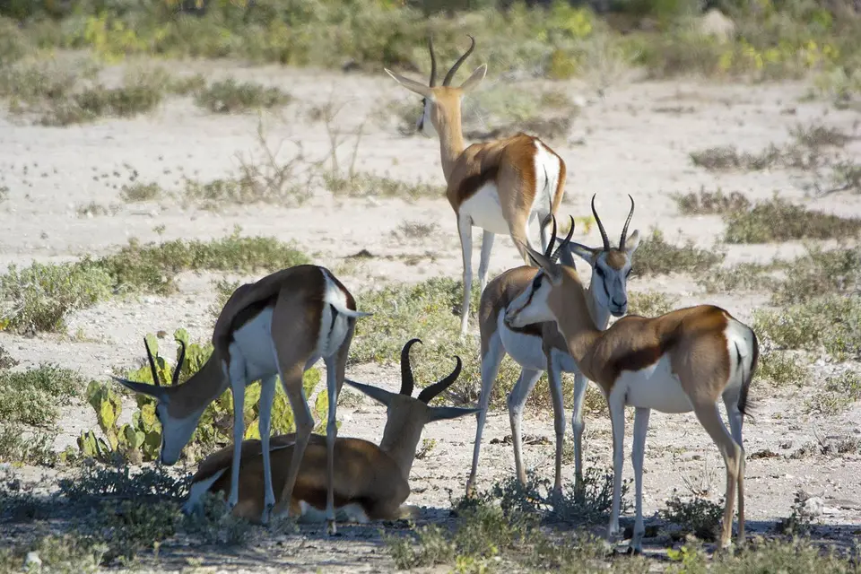 _DSC0364_FHD.jpg