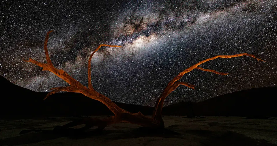 _DSC6430liegenderbauminDeadvlei-2.jpg