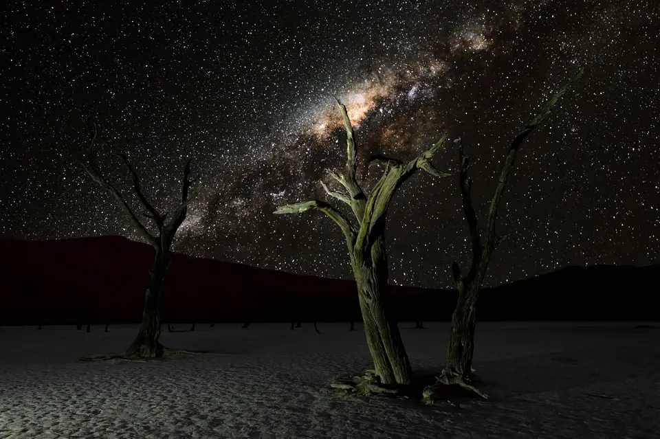 _SDL4244_IA12.org_4244.hell.beleuchtet.freigestellt.var3.1final2_istock.jpg