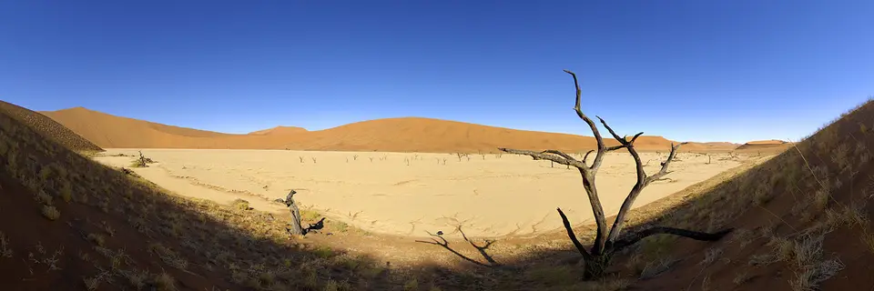 dead_pano_01.jpg