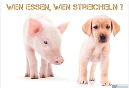 Wenstreicheln.png