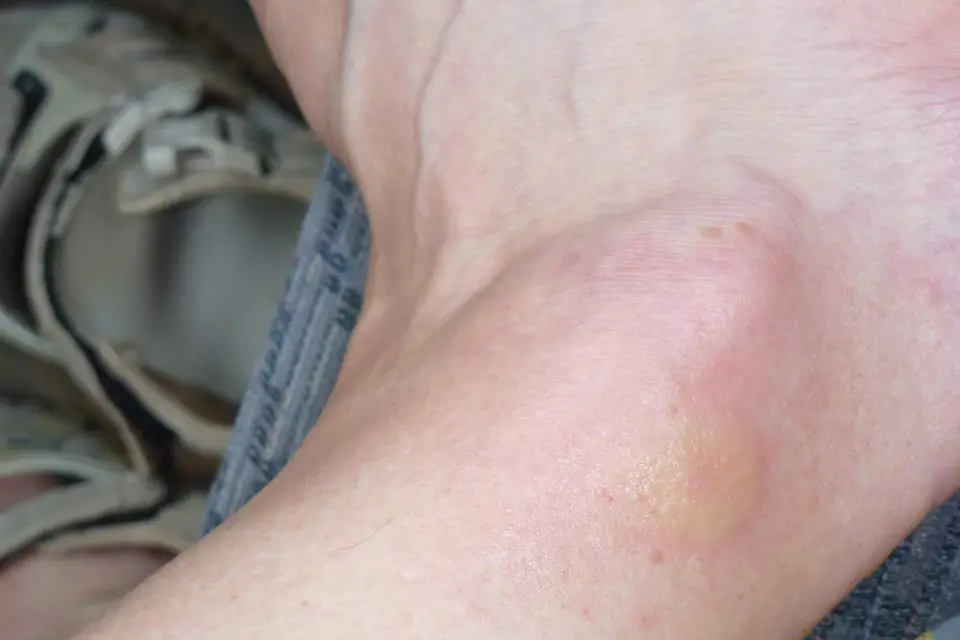 P1000784.JPG