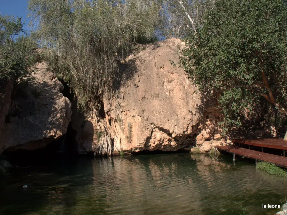 P1010440.jpg
