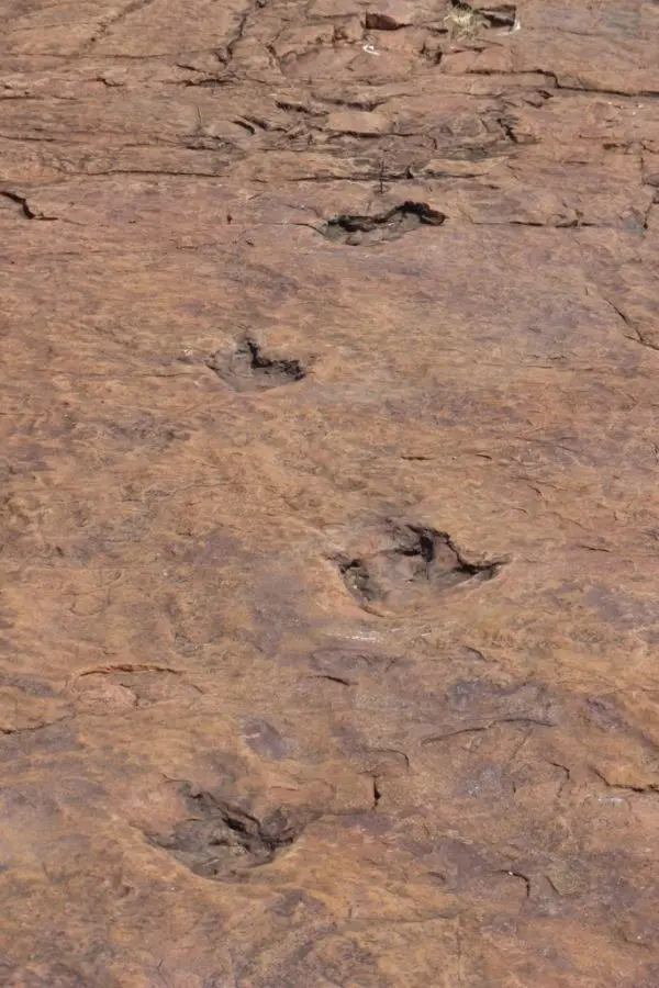 h095597a.JPG