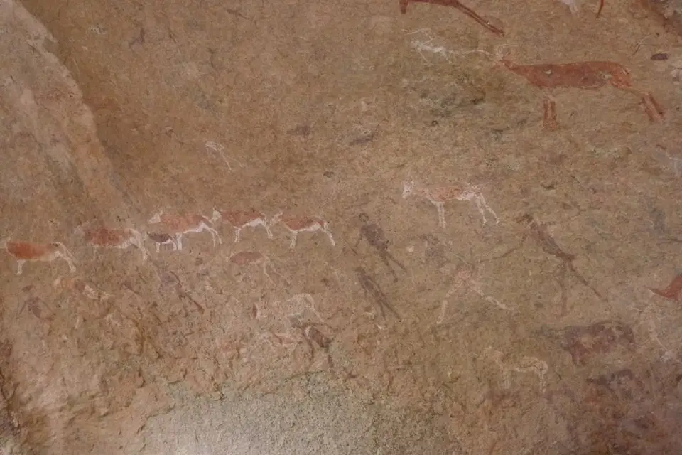 h11c8c90.JPG