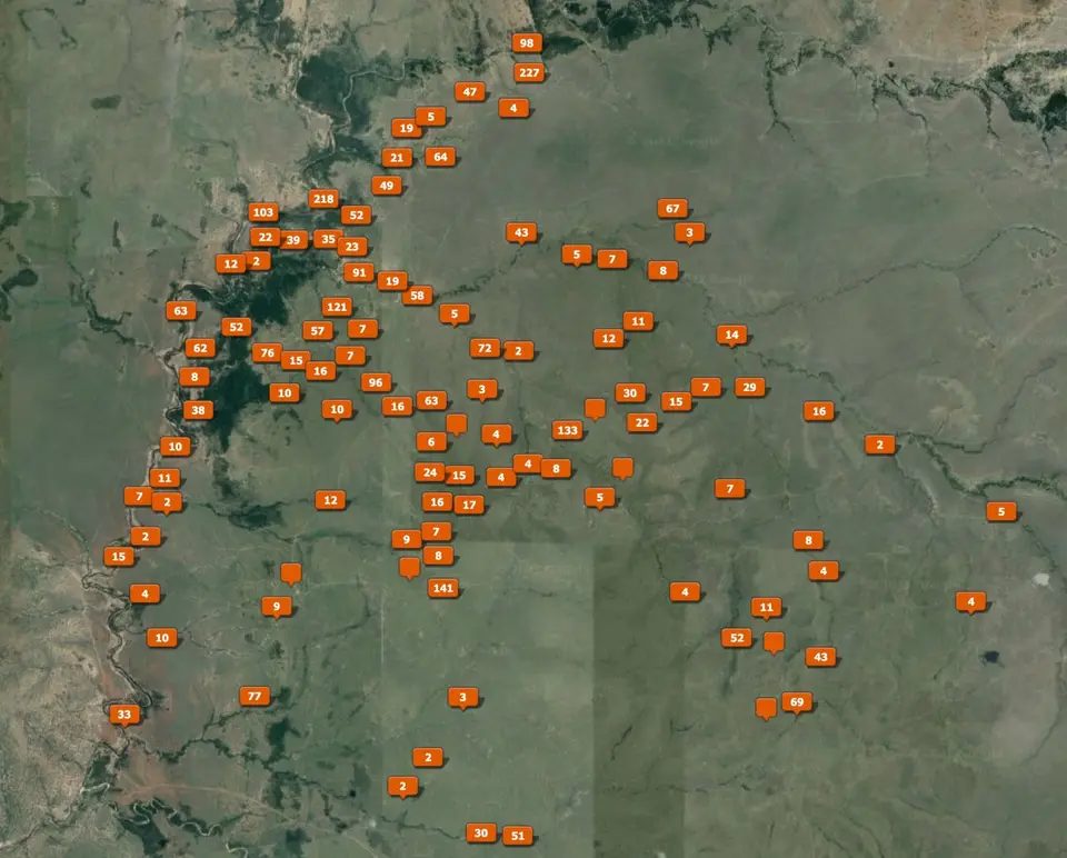 Bildverteilung_Masai_Mara.jpg