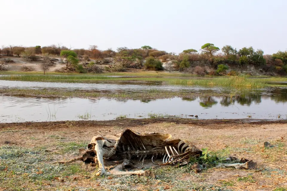 h9893a87.JPG