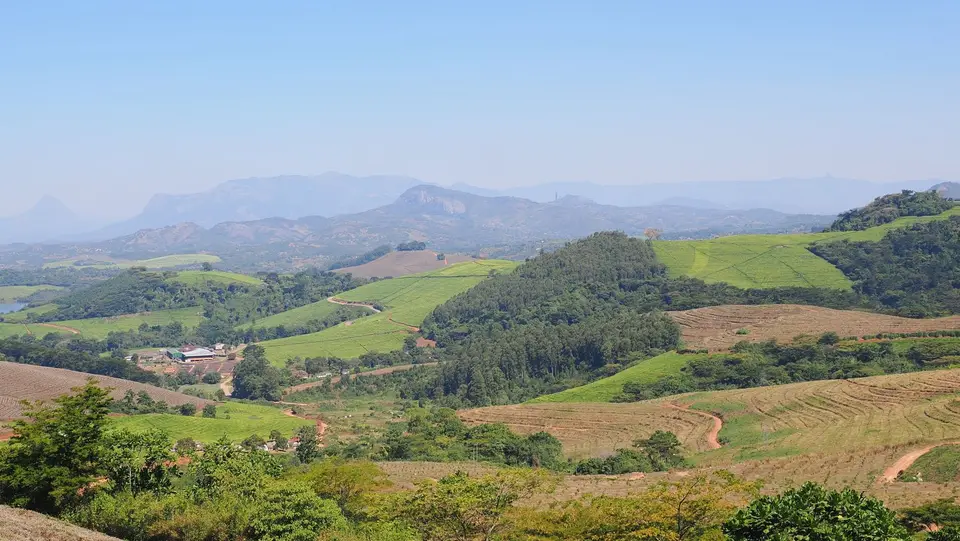 P7060262.JPG