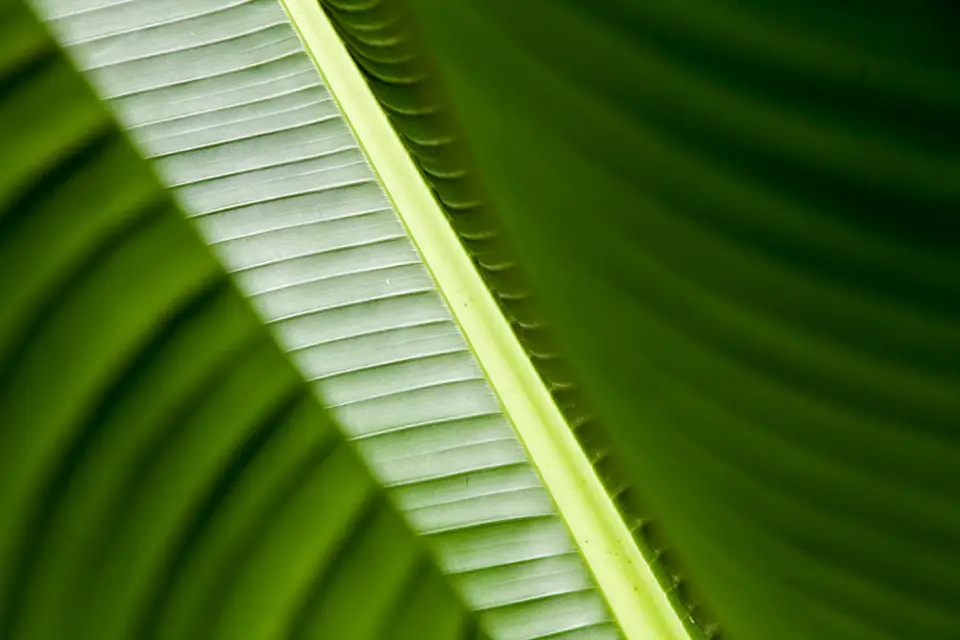 hfc0be58.jpg