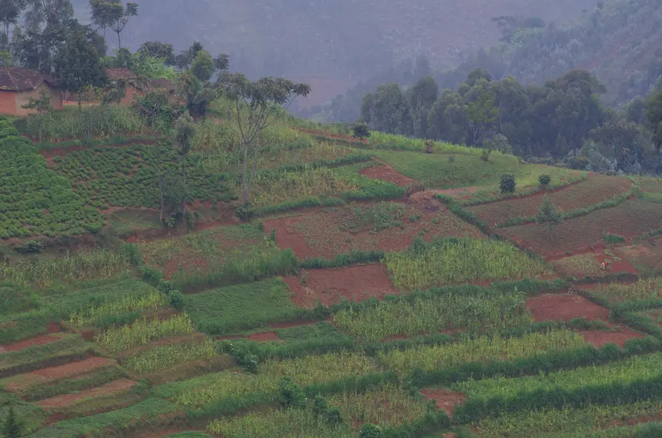 Uganda-Ruanda-038.jpg