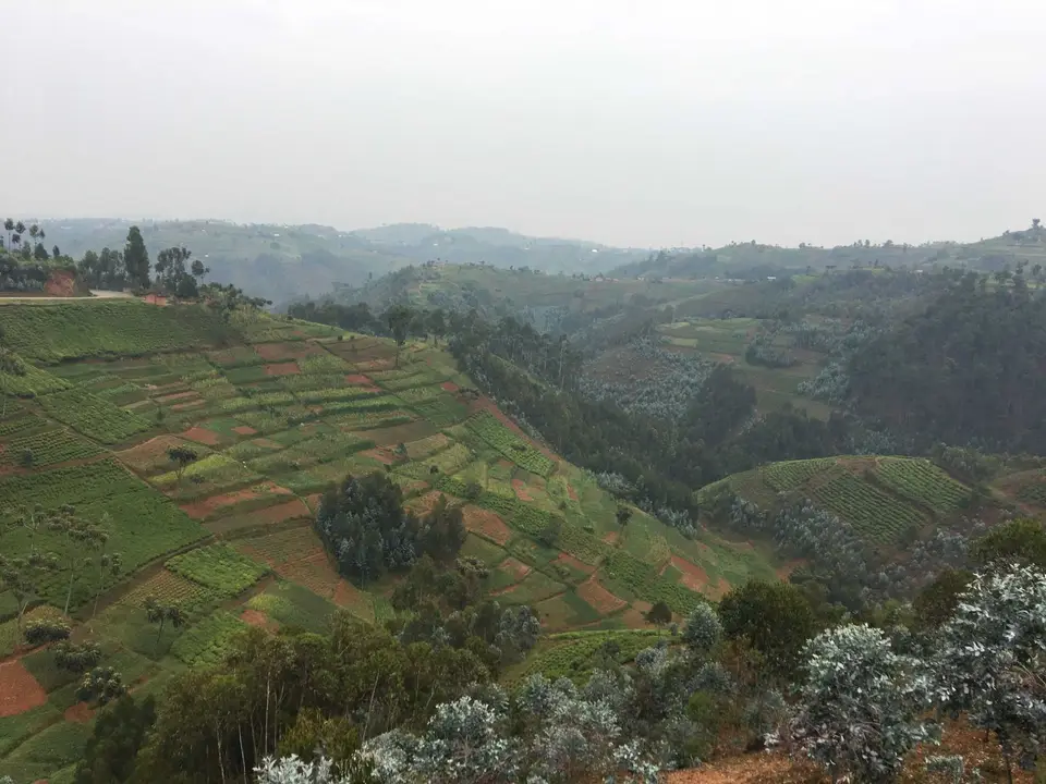 Uganda-Ruanda-039.jpg