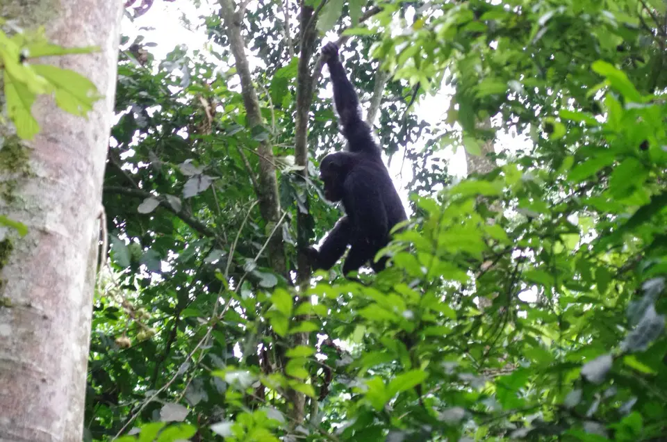 Uganda-Ruanda-050.jpg