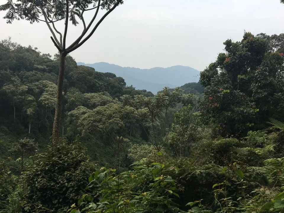 Uganda-Ruanda-058.jpg