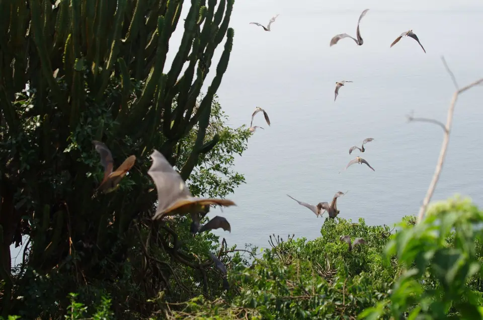 Uganda-Ruanda-091.jpg
