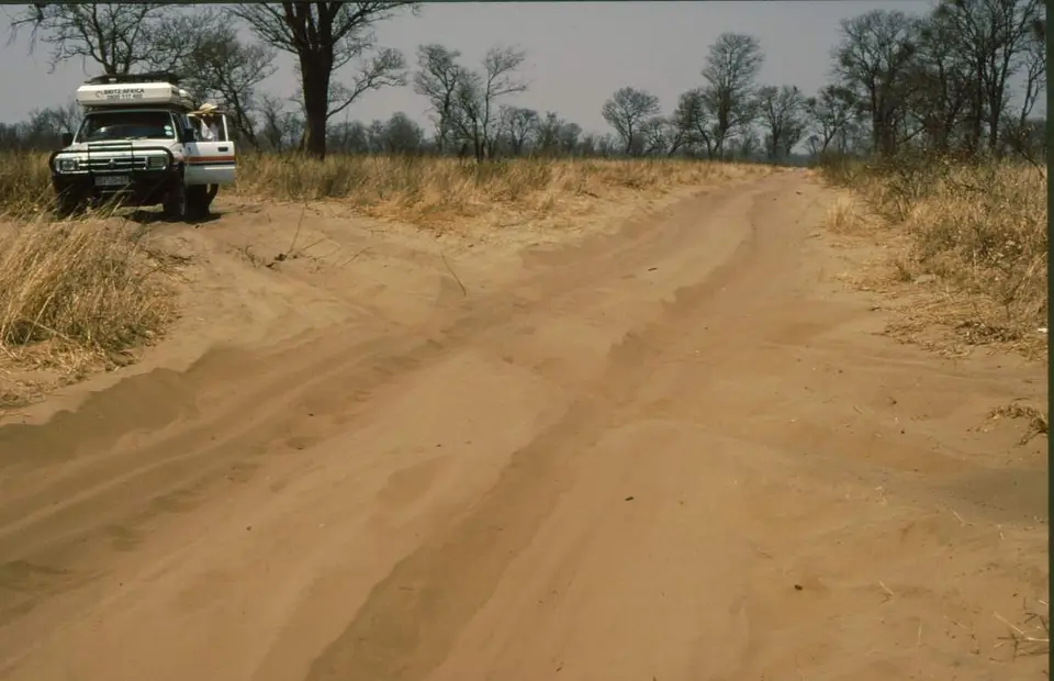 ChobeForest.jpg