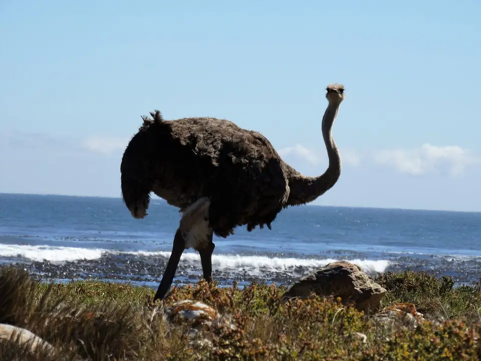 122.JPG
