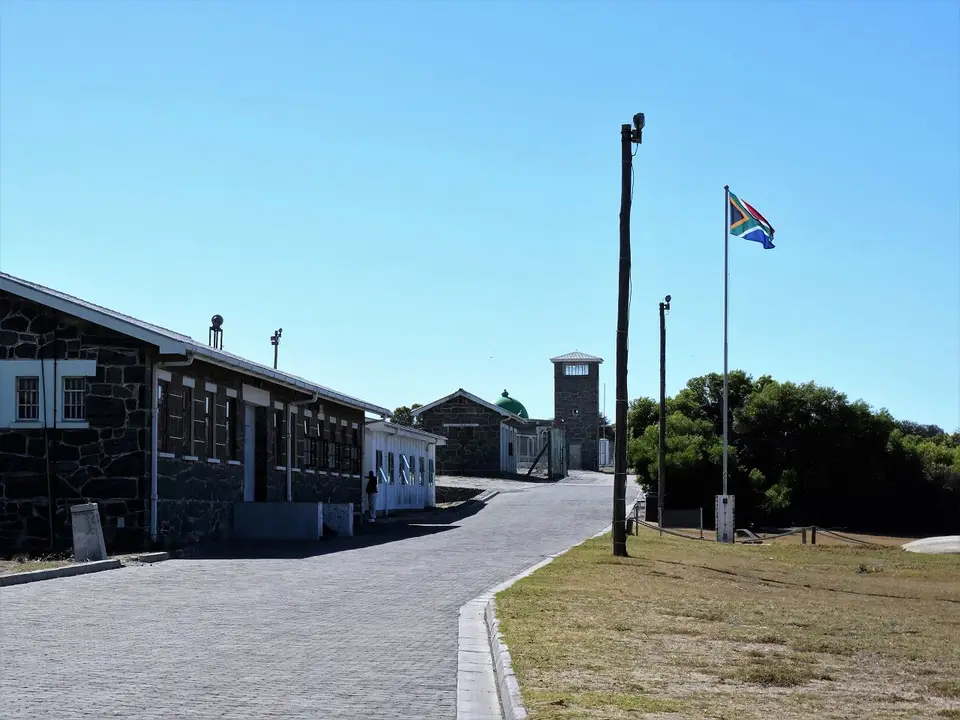 96.JPG