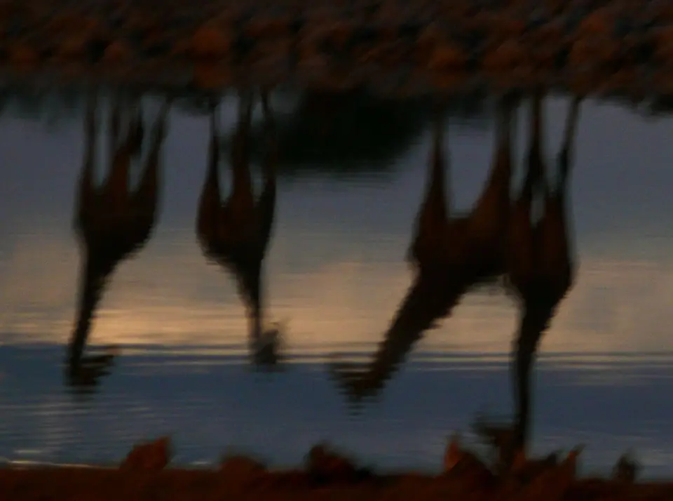 h2c3a040.JPG