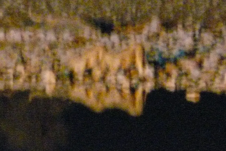 hd311f6e.JPG