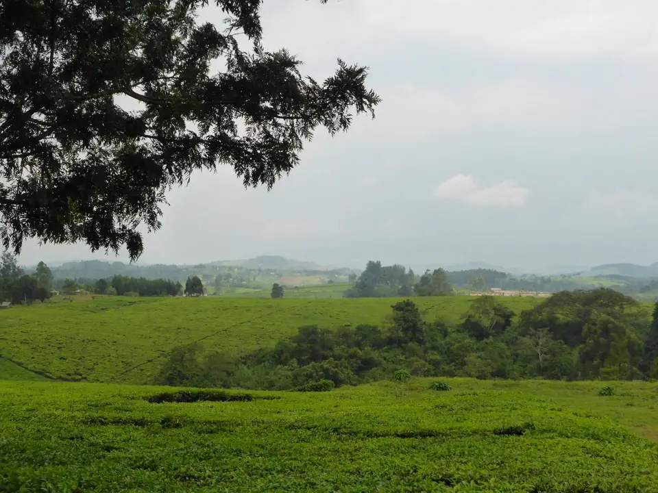 UgaRwa_2017_0039.JPG