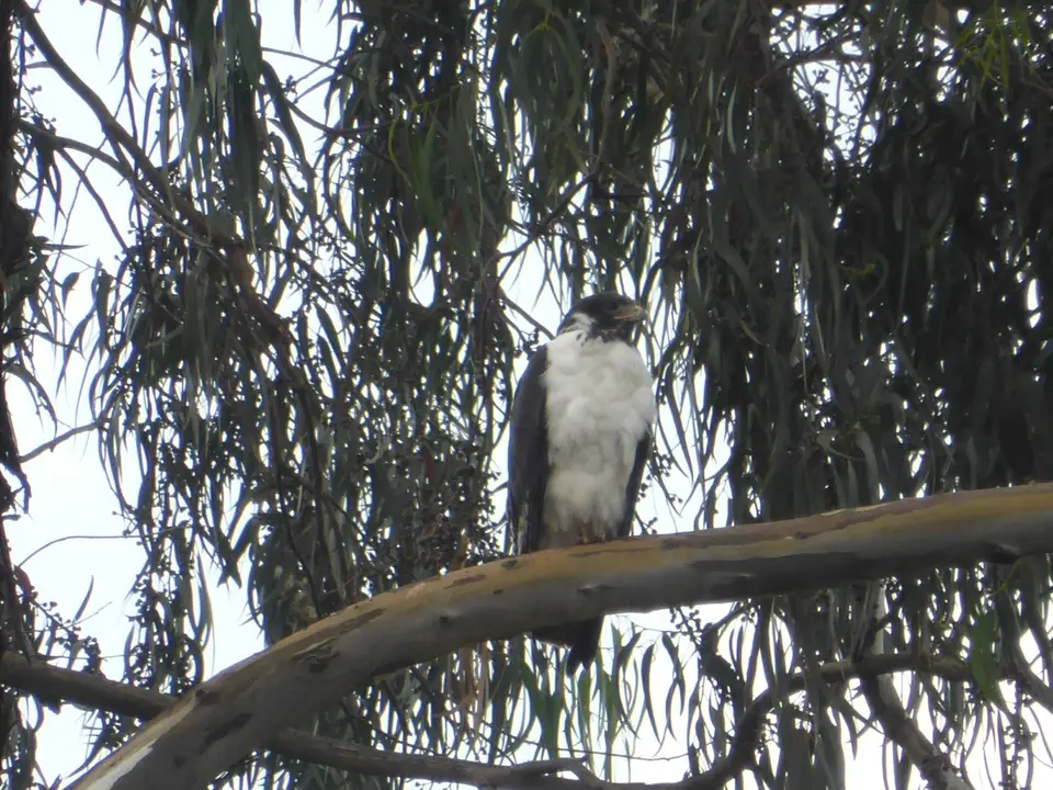 UgaRwa_2017_0483.JPG