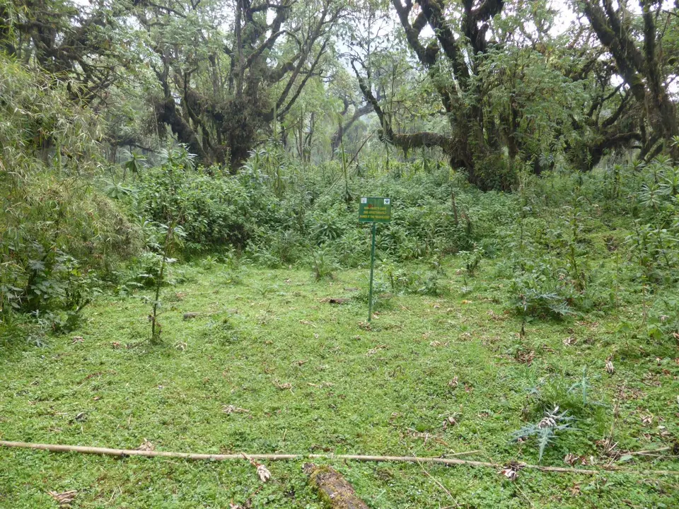 UgaRwa_2017_0538.JPG